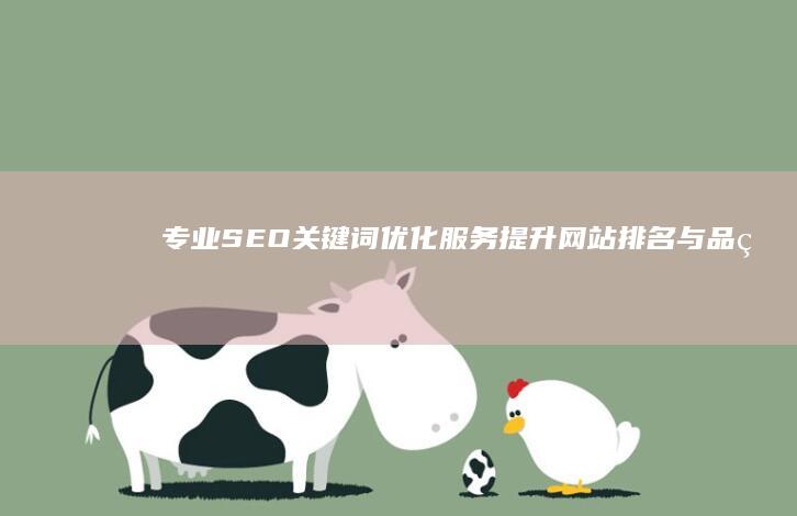 专业SEO关键词优化服务：提升网站排名与品牌网络公司